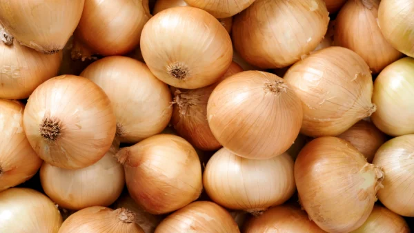 【佐賀県鹿島市産】玉ねぎ20kg