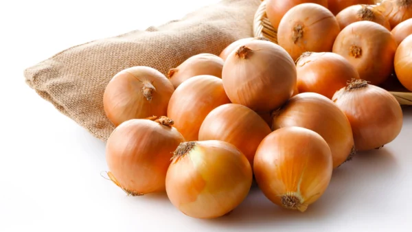 【佐賀県鹿島市産】玉ねぎ10kg